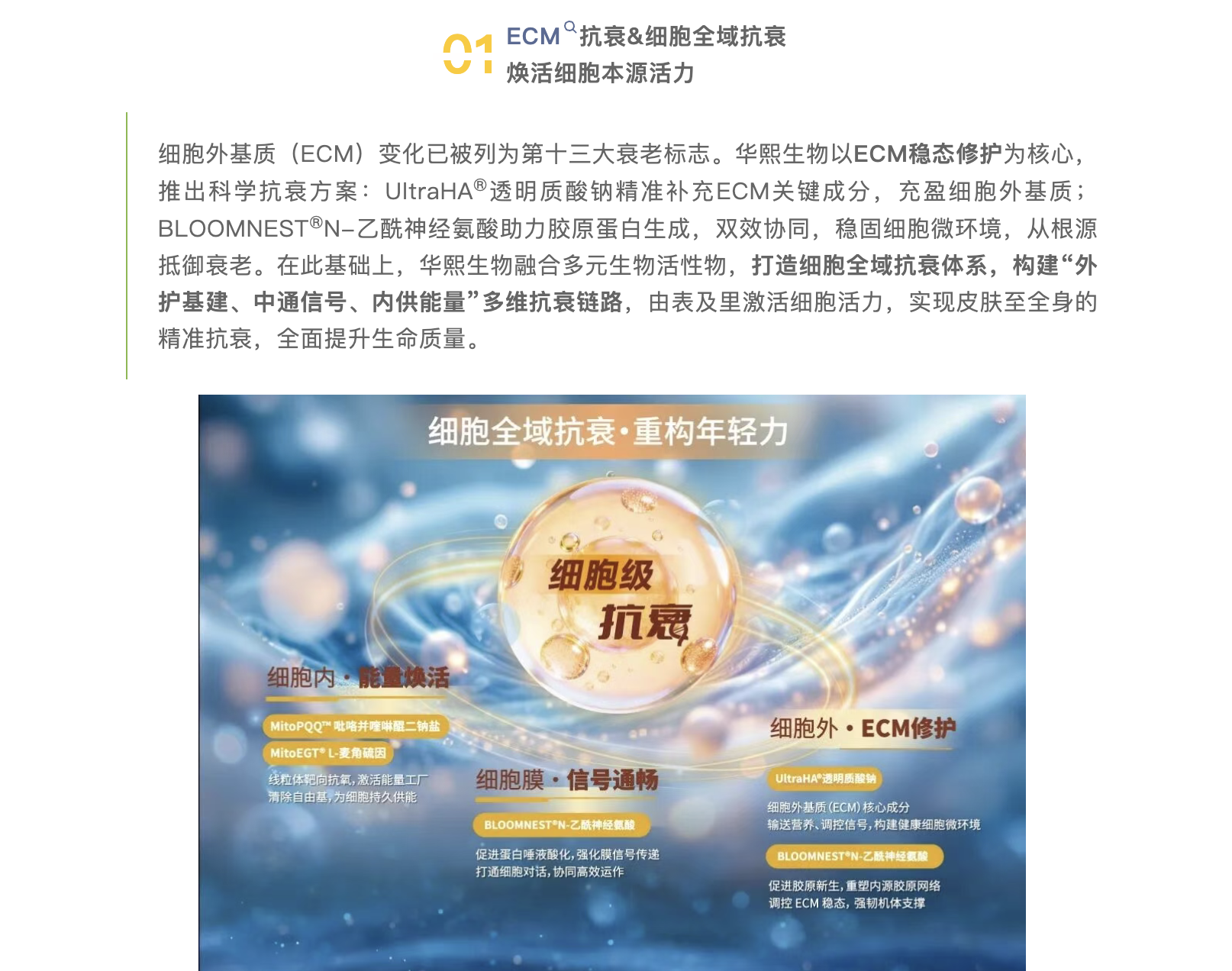 截屏2026-03-23 下午3.24.55.png