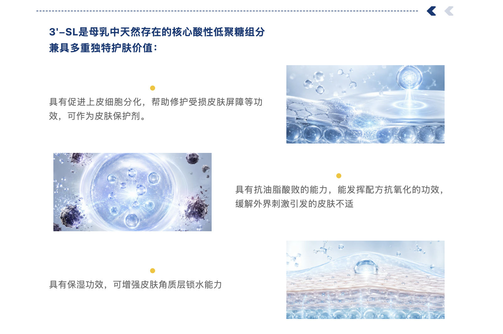 截屏2026-08-11 上午9.15.44.png