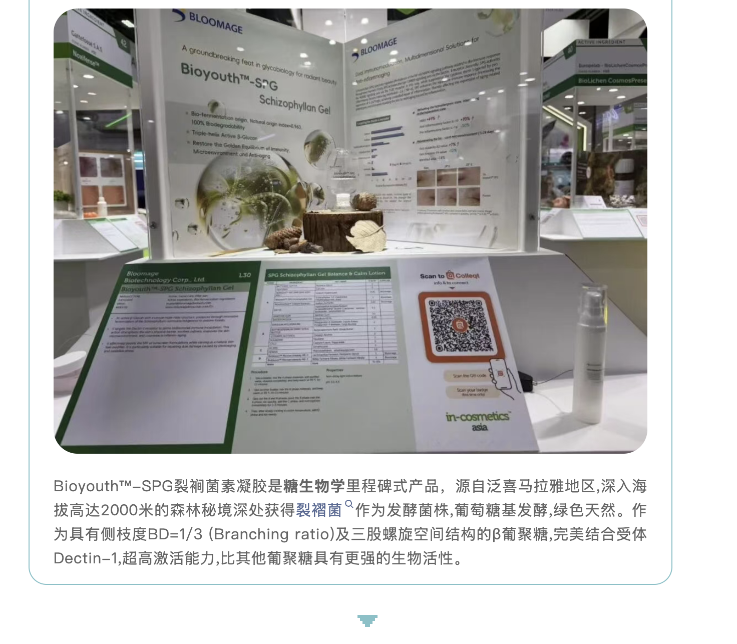 截屏2025-11-10 下午2.13.16.png