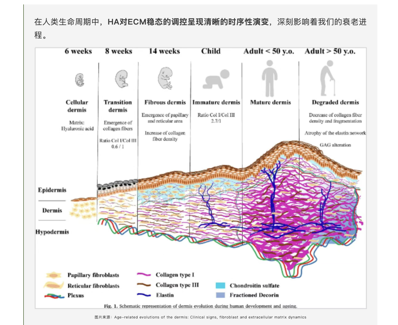 截屏2025-12-10 上午9.02.25.png