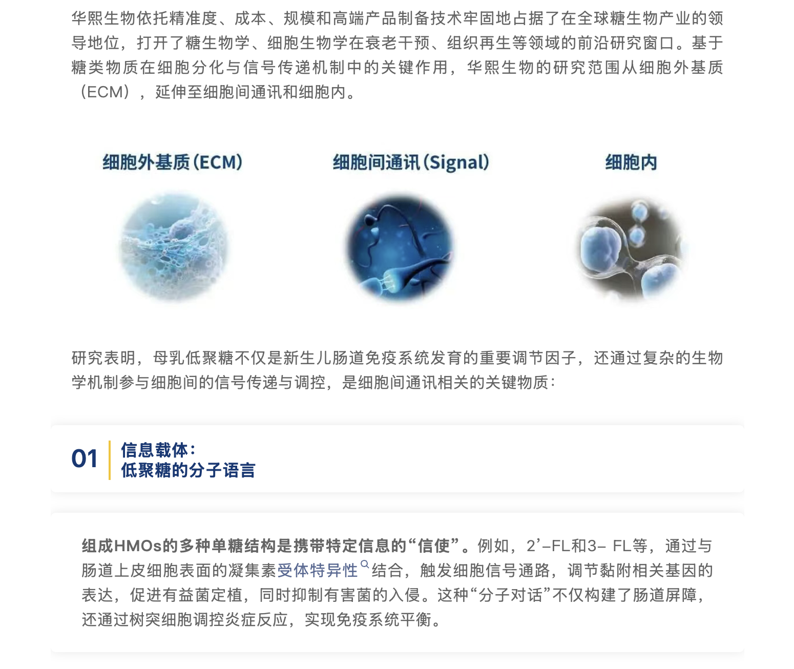 截屏2026-02-11 上午10.32.22.png