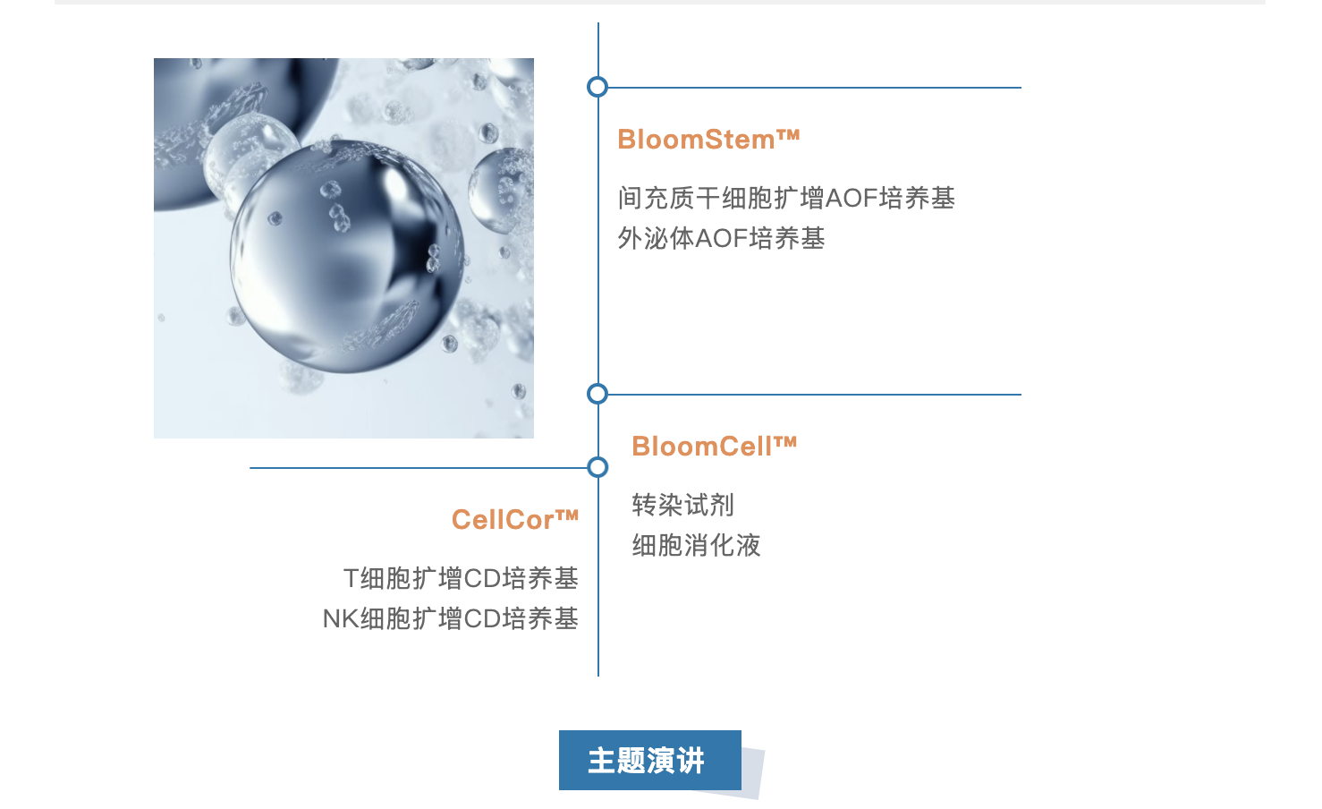截屏2026-03-04 上午10.45.43.png